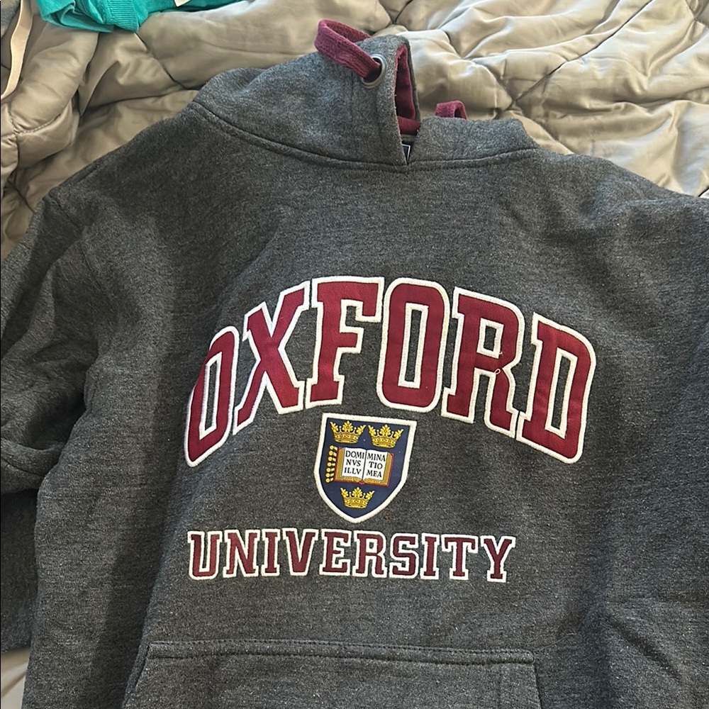 Gray Oxford University Hoodie with Bold Text and Crest